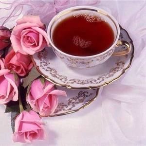 Meet your Posher, Armida